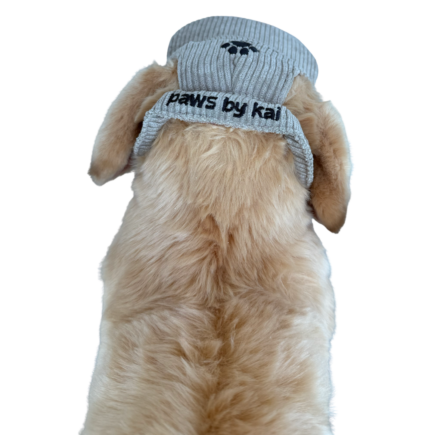 Toe Beans Hat