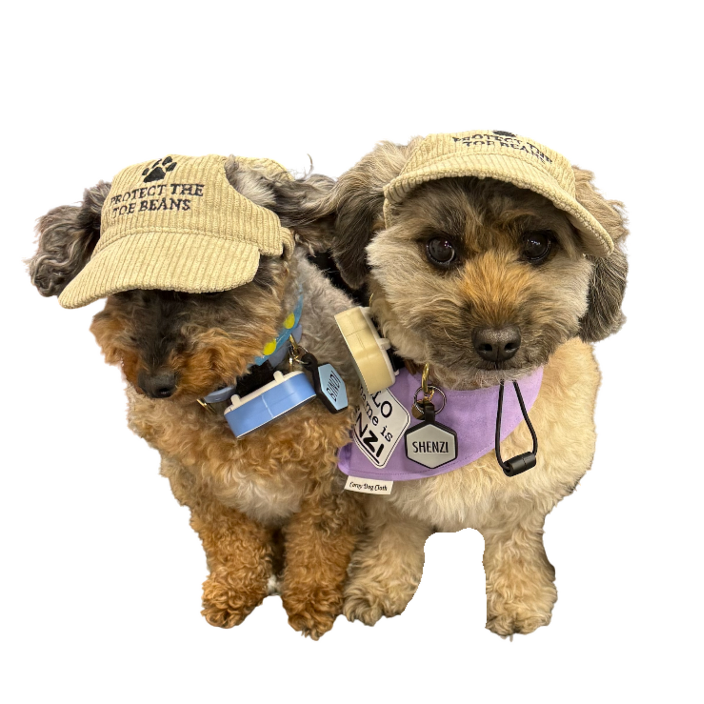 Toe Beans Hat