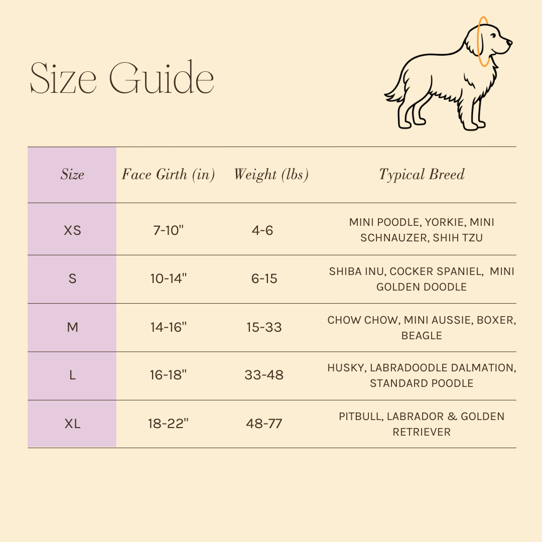 Size Guide Image