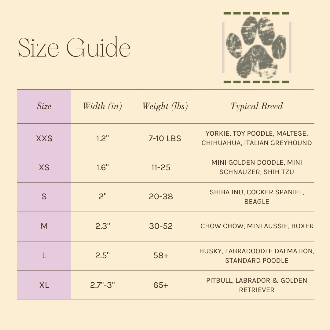 Size Guide Image
