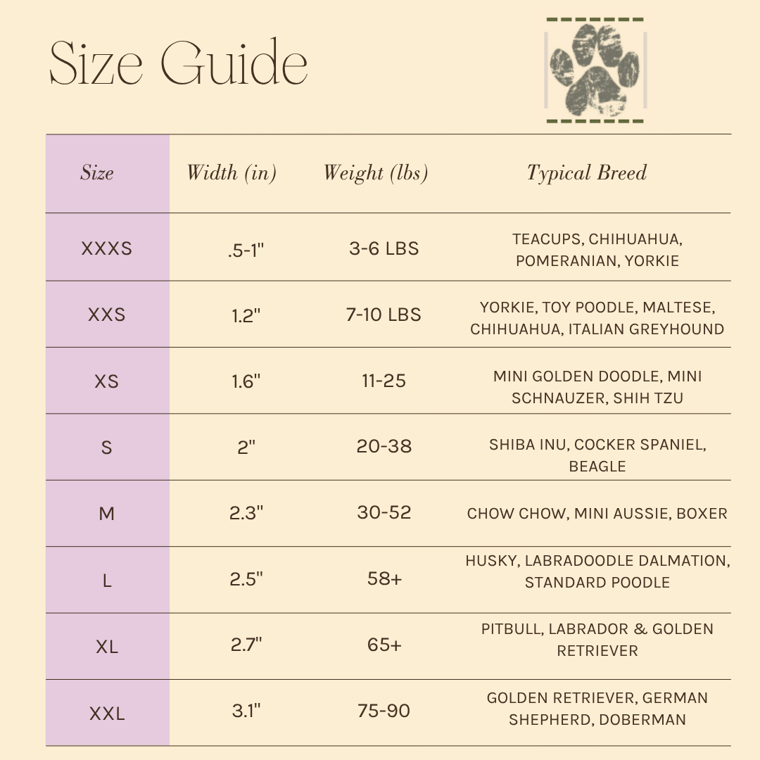Size Guide Image