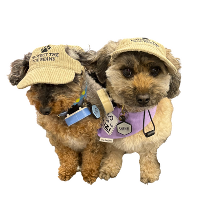Toe Beans Hat