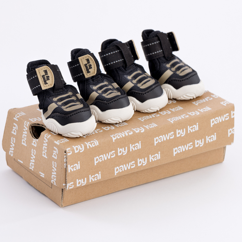 Set of 4 black Kai dog sneakers by Paws by Kai on a branded box