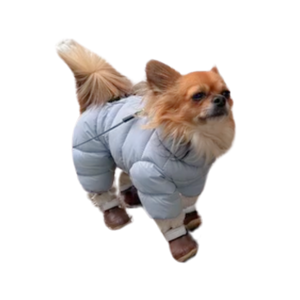 BB