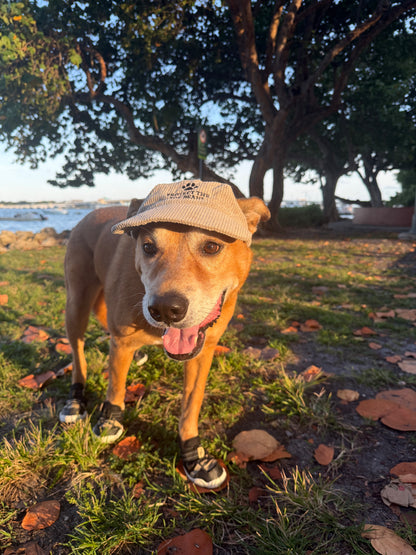 Toe Beans Hat