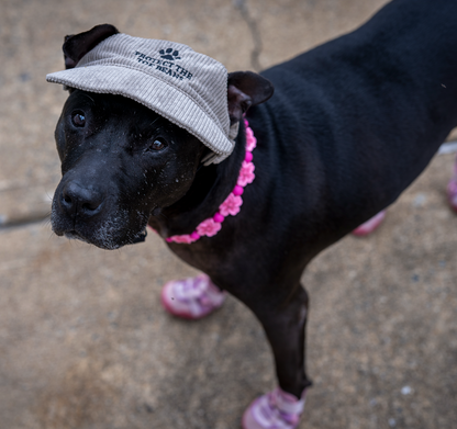 Toe Beans Hat