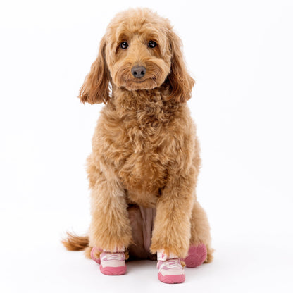 The Kai- Protective Footwear For Dogs