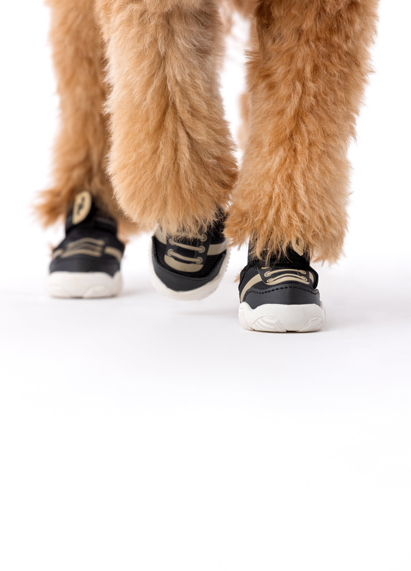 Padded Dog Boots, Stylish Dog Footwear