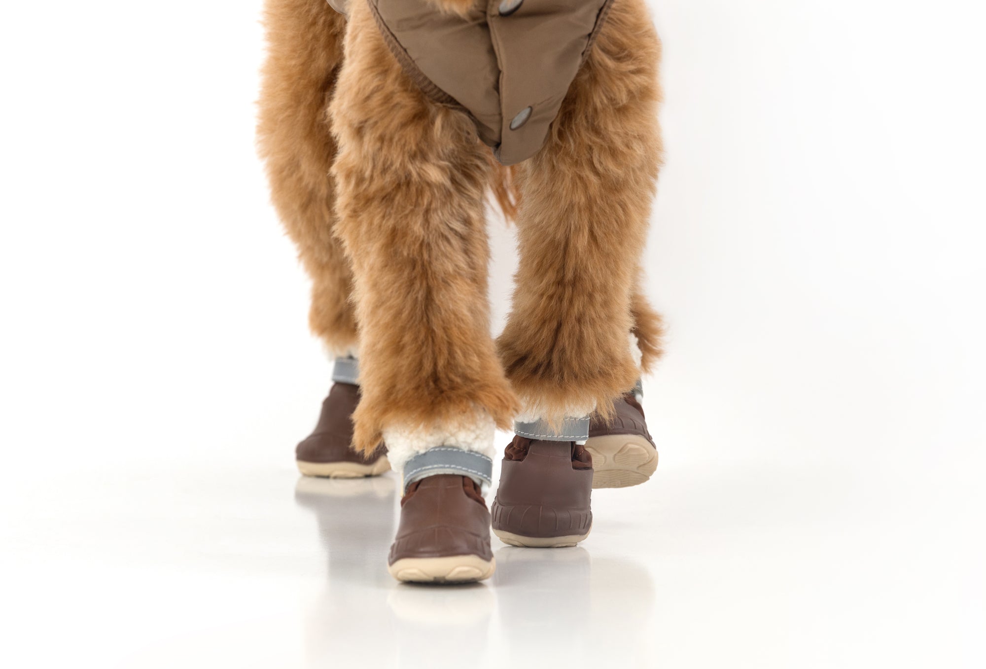 XXXS / Brown