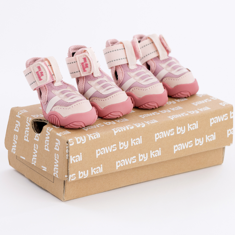Set of 4 pink Kai dog sneakers by Paws by Kai on a branded box