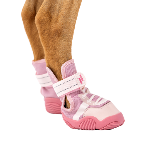 A dog paw wearing a pink Paws by Kai shoe